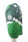 Preview: Nike SV Werder Bremen Trikot 24 Claudio Pizarro 2010/11 Heim Herren S oder L