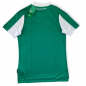 Preview: Umbro SV Werder Bremen Trikot 2020/21 grün Wiesenhof Herren S