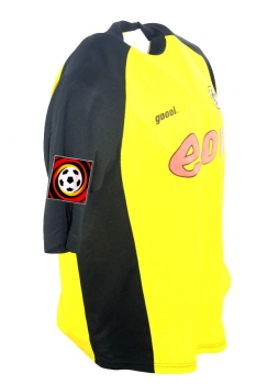Goool.de Borussia Dortmund Trikot 22 Marcio Amoroso BVB Match Worn 2001/02 Herren XL