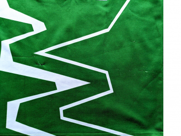 Puma SV Werder Bremen Trikot 11 Wynton Kiwi Rufer 1993/94 grün Dbv Herren M