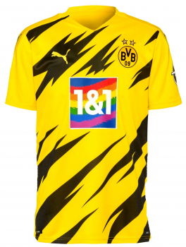 Puma Borussia Dortmund Trikot 2020/21 BVB 1&1 1und1 Regenbogen bunt Sondertrikot Herren L