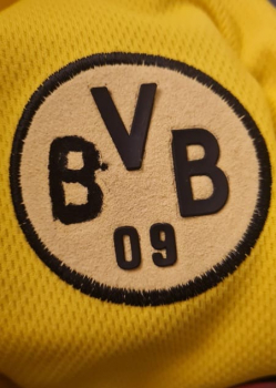 Goool.de Borussia Dortmund Trikot 22 Marcio Amoroso BVB Match Worn 2001/02 Herren XL