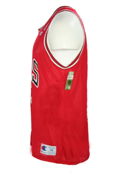 Champion Chicago Bulls Trikot 23 Michael Air Jordan NBA rot Kinder 152 cm = youth M