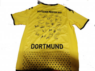 Kappa Borussia Dortmund Trikot 2011/12 BVB Evonik heim Meistertrikot signiert NEU Herren L