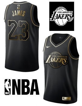 Nike Cleveland Cavaliers Trikot NBA 23 LeBron James Basketball Herren 44 = L