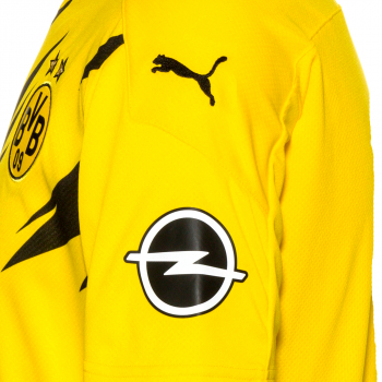 Puma Borussia Dortmund Trikot 2020/21 BVB 1&1 1und1 Regenbogen bunt Sondertrikot Herren L