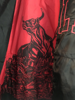 Adidas Chicago Bulls Jacke NBA Basketball Originals Satin College Schwarz Herren XL