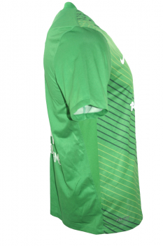 Nike SV Werder Bremen Trikot 8 Clemens Fritz 2011/12 Heim SVW Grün Herren M