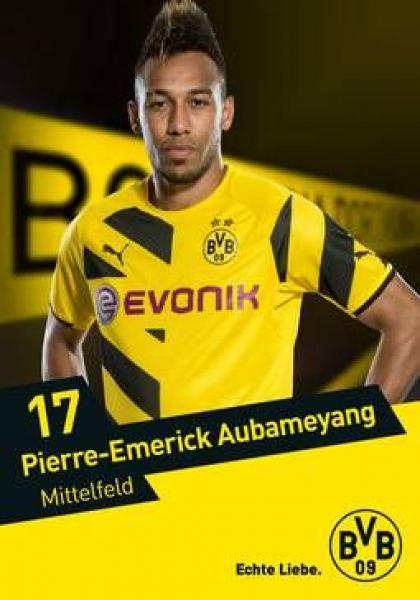 Puma Borussia Dortmund Trikot 11 Reus 2014/15 CL BVB Kinder / Damen 164 cm / 38