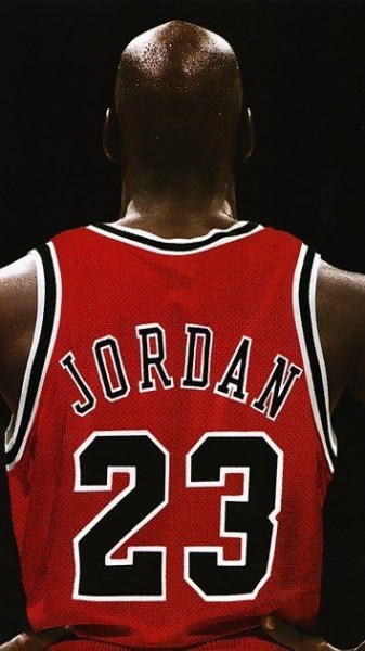 Champion Chicago Bulls Trikot 23 Michael Jordan Air Rot NBA Herren S-M = 176 cm youth 18-20 jahre