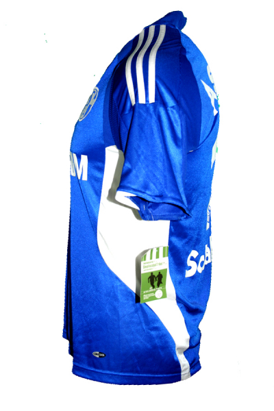 Adidas FC Schalke 04 jersey 14 Gerald Asamoah 2008/09 Gazprom blue home men's S
