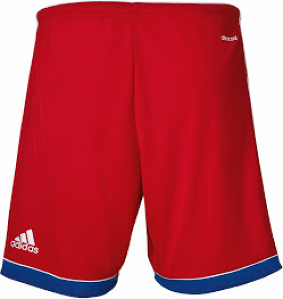 Adidas FC Bayern München Trikothose Shorts Hose 2014/15 2015 heim rot Herren L