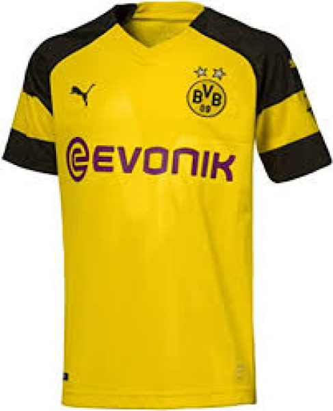 Puma Borussia Dortmund Trikot 9 Paco Alcacer 2018/19 BVB Evonik Gelb Herren M (B-Ware)