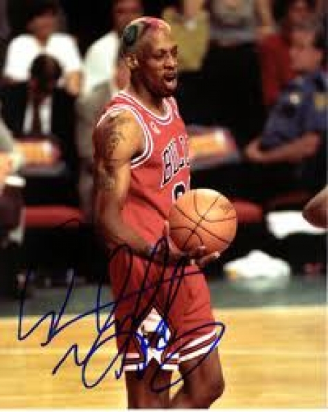 Champion Chicago Bulls Trikot 91 Dennis Rodman Rot Basketball NBA Herren XL oder XXL