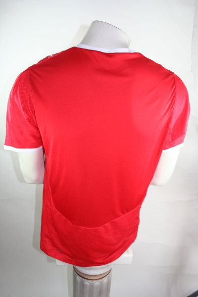 Puma Suiza camiseta Euro 2008 rojo SFV ASF senor S/M/L/XL/XXL